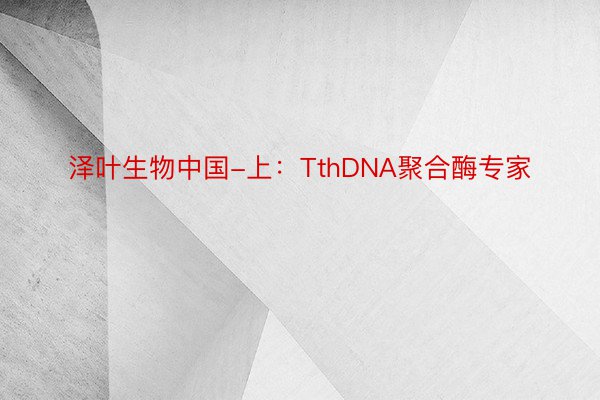 泽叶生物中国-上：TthDNA聚合酶专家