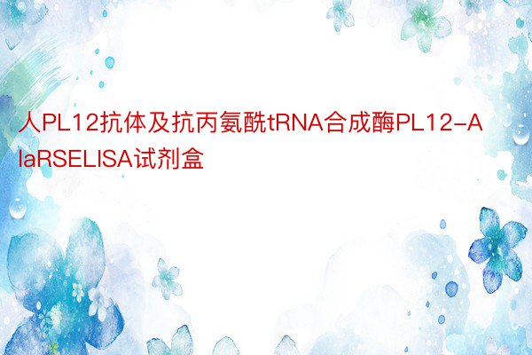 人PL12抗体及抗丙氨酰tRNA合成酶PL12-AlaRSELISA试剂盒